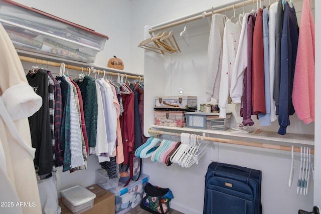 view of spacious closet