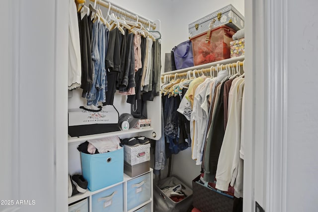 view of walk in closet