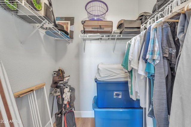 walk in closet featuring hardwood / wood-style floors