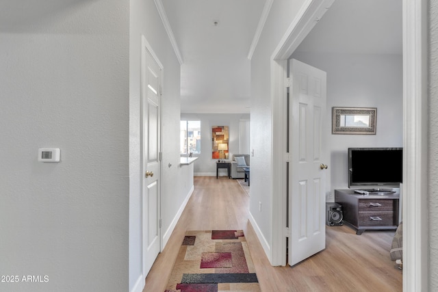 hallway featuring crown molding and light hardwood / wood-style flooring