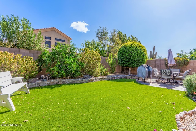 view of yard featuring a patio area and a fenced backyard