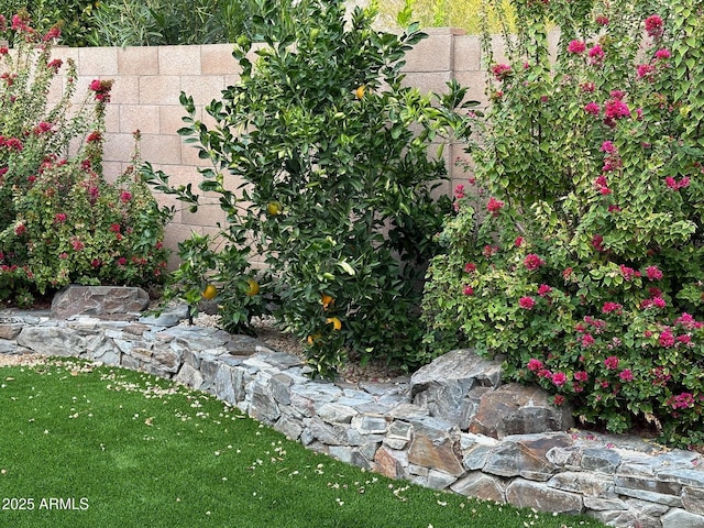 view of yard with fence