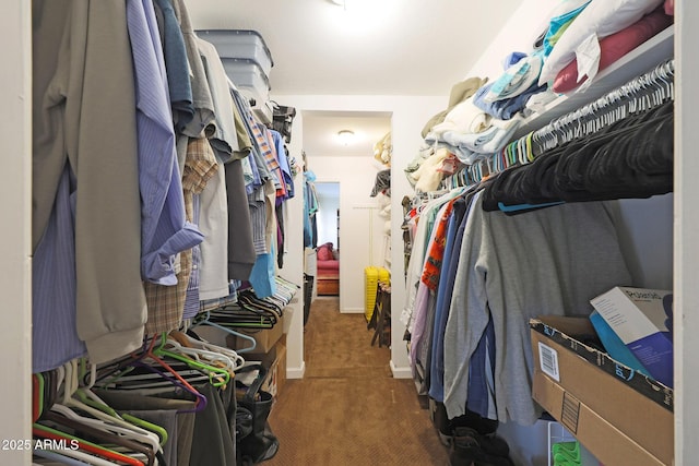 walk in closet featuring carpet flooring