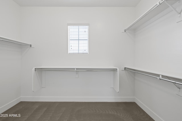 walk in closet featuring dark carpet