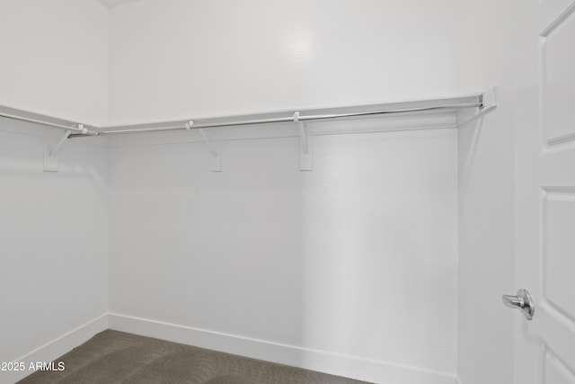 spacious closet with dark carpet