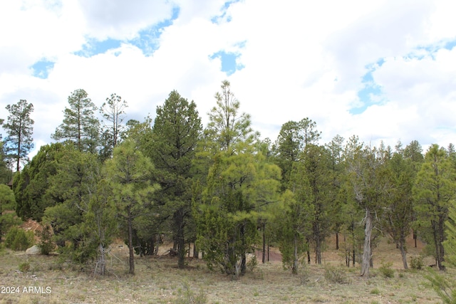 3339 Sawmill Ridge Loop Unit 97, Heber AZ, 85928 land for sale