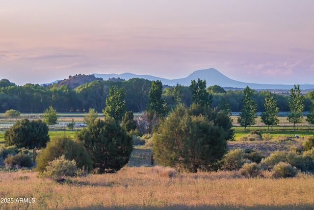 19125 N Lower Territory Rd, Prescott, AZ 86305 - mountain view featuring rural landscape