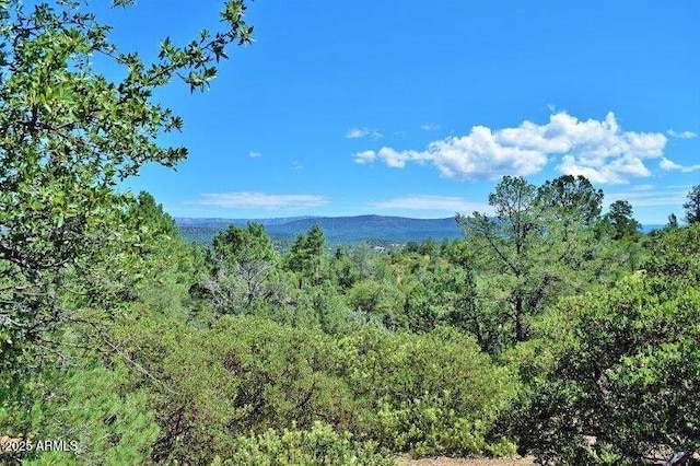 Listing photo 3 for 115 S Crescent Moon Unit 303, Payson AZ 85541