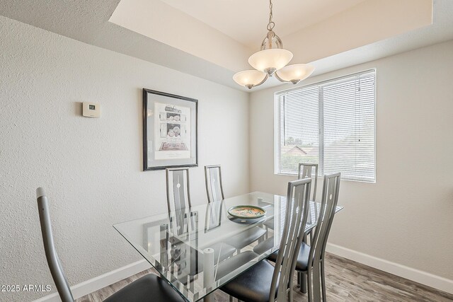 4554 E Paradise Village Pkwy N Unit 249, Phoenix, AZ 85032 - dining area with a tray ceiling, baseboards, wood finished floors, and an inviting chandelier