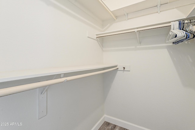 4554 E Paradise Village Pkwy N Unit 249, Phoenix, AZ 85032 - walk in closet with wood finished floors