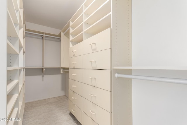 spacious closet with light colored carpet