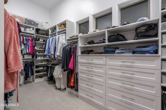 spacious closet featuring light colored carpet