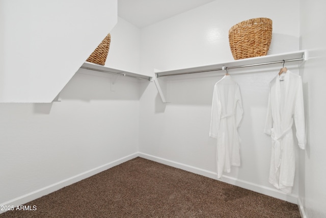 walk in closet featuring carpet