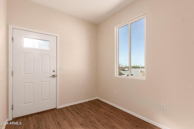 foyer entrance with wood-type flooring and a wealth of natural light