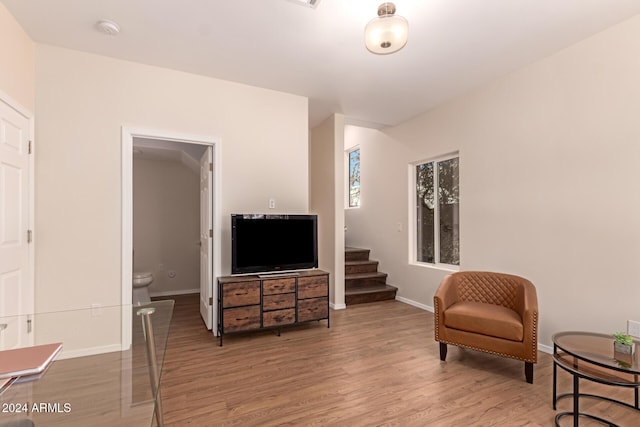 living area featuring wood-type flooring