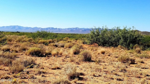 LOT52 N High Lonesome Rd Unit 52, Elfrida AZ, 85610 land for sale