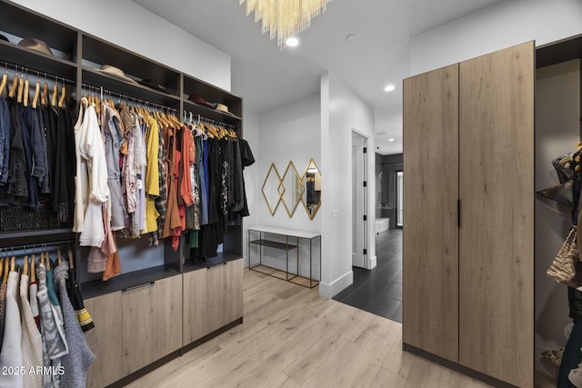 spacious closet with wood finished floors