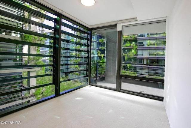 carpeted spare room featuring expansive windows