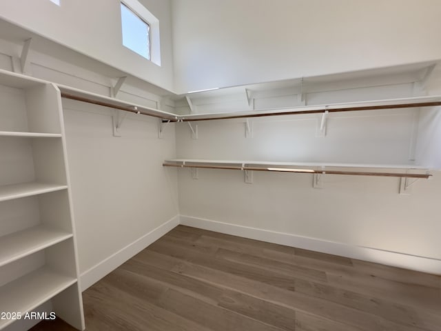 walk in closet with dark wood-type flooring