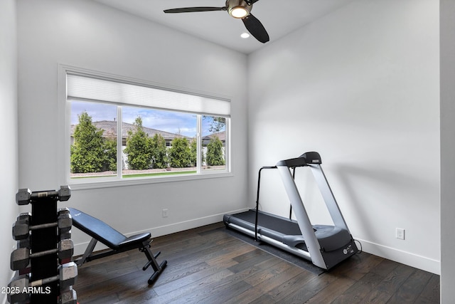 12228 E Wood Dr, Chandler, AZ 85249 - exercise room with dark wood finished floors, baseboards, a ceiling fan, and recessed lighting