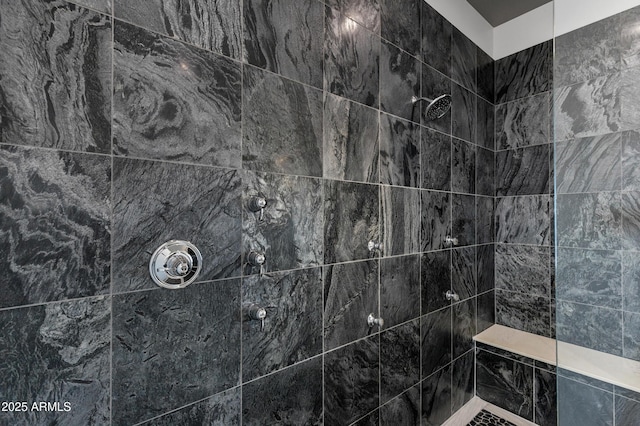 12228 E Wood Dr, Chandler, AZ 85249 - interior details with tiled shower