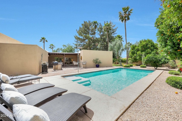 view of pool featuring a patio