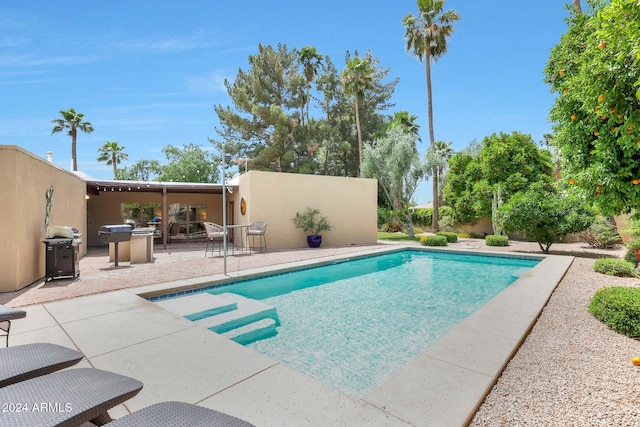 view of swimming pool with area for grilling and a patio area