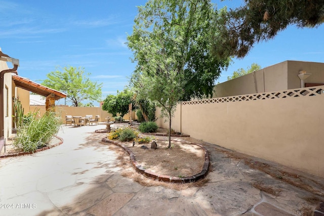 view of yard featuring a patio