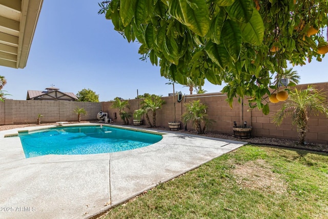 view of pool with a patio area, a fenced backyard, and a fenced in pool