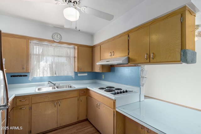 kitchen with sink, light hardwood / wood-style flooring, white electric stovetop, and ceiling fan