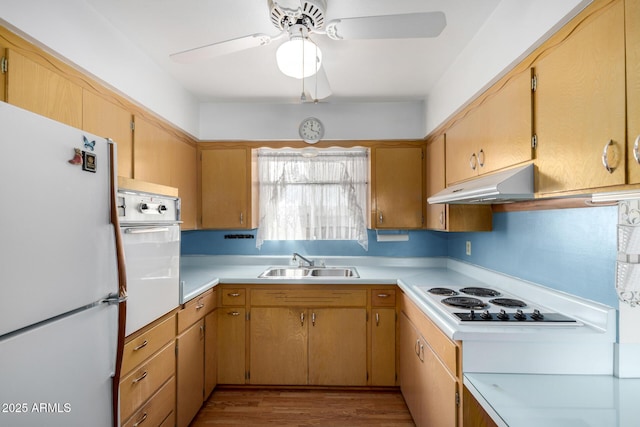 kitchen with ceiling fan, sink, white appliances, and light hardwood / wood-style flooring