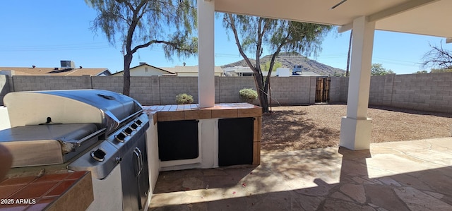 view of patio / terrace with a fenced backyard, grilling area, and an outdoor kitchen