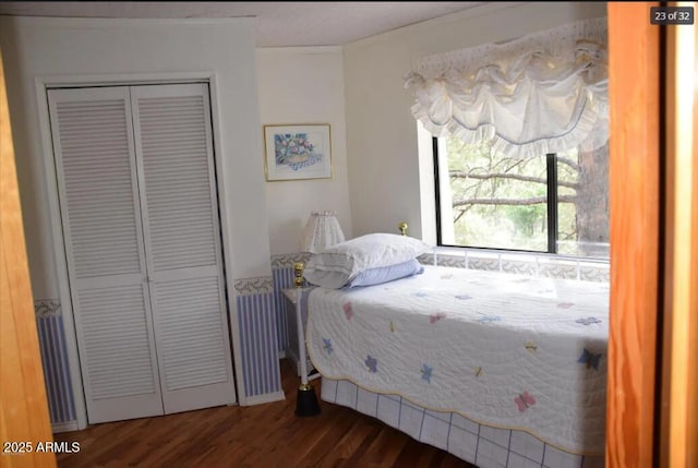 bedroom featuring dark wood-type flooring and a closet