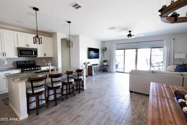 1364 W Spine Tree Ave, Queen Creek, AZ 85140 - kitchen featuring stainless steel appliances, a sink, open floor plan, ceiling fan, and an island with sink