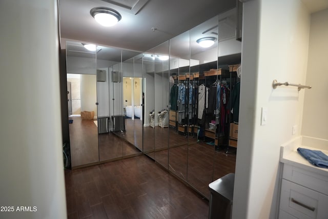 walk in closet featuring dark hardwood / wood-style floors