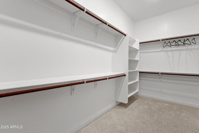 3885 E Kenley Ln, San Tan Valley, AZ 85143 - spacious closet with carpet