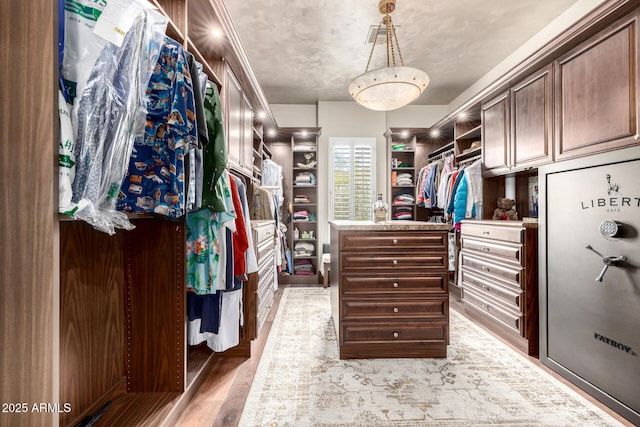 4328 N Pinnacle Ridge Cir, Mesa, AZ 85207 - walk in closet with light wood-style floors