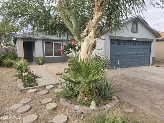 11770 W Aster Dr, El Mirage, AZ 85335 - ranch-style house with stucco siding and driveway