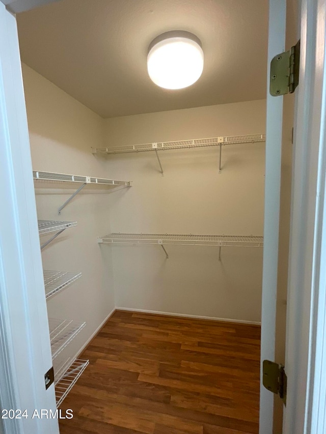 walk in closet with dark hardwood / wood-style floors