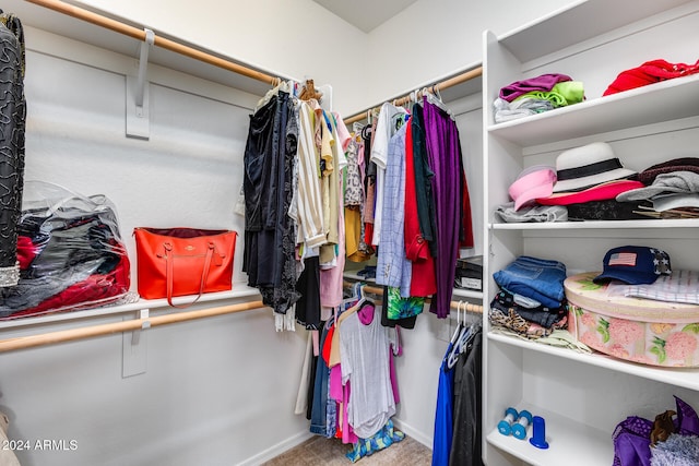 view of walk in closet