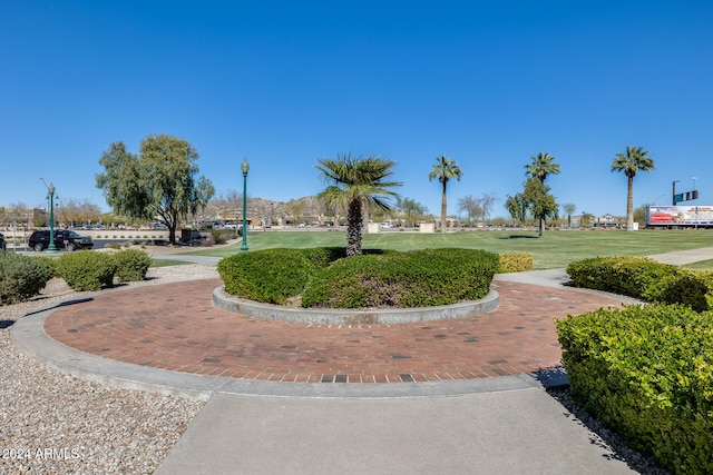 view of community with a lawn