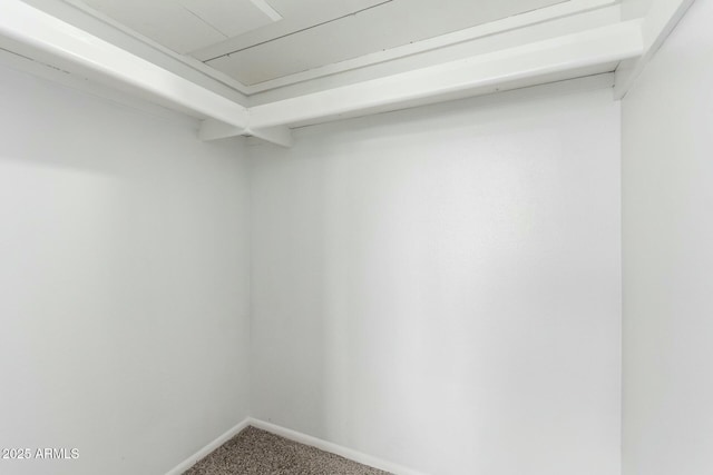 walk in closet featuring carpet flooring