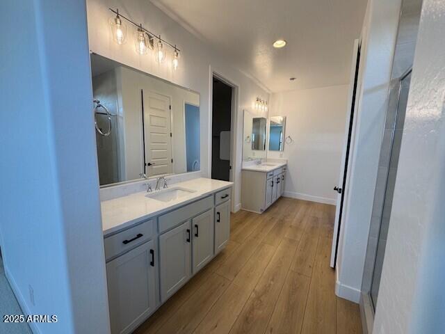 full bathroom featuring wood finished floors, two vanities, a shower, and a sink
