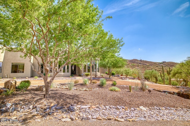 view of yard featuring a mountain view and a patio area