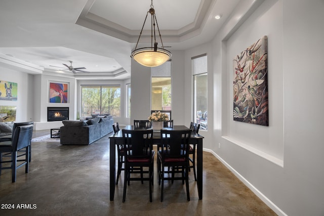 dining area featuring a raised ceiling and ceiling fan