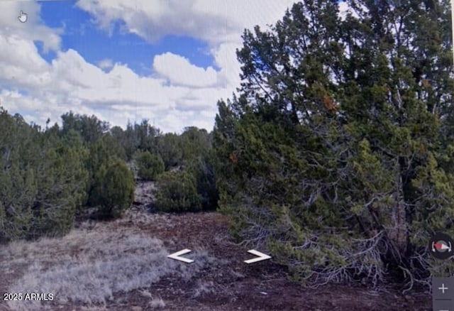 8426 Silver Creek Dr Unit 1, Show Low, AZ 85901