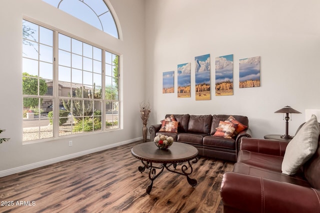 7247 W Buckskin Trl, Peoria, AZ 85383 - living room featuring plenty of natural light and wood finished floors