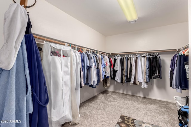 7247 W Buckskin Trl, Peoria, AZ 85383 - walk in closet featuring carpet flooring