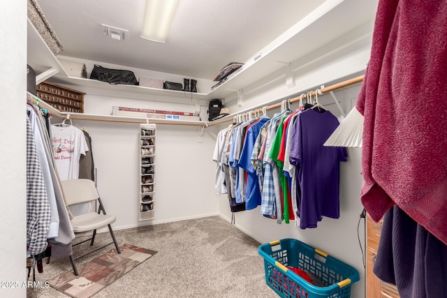 7247 W Buckskin Trl, Peoria, AZ 85383 - walk in closet featuring carpet