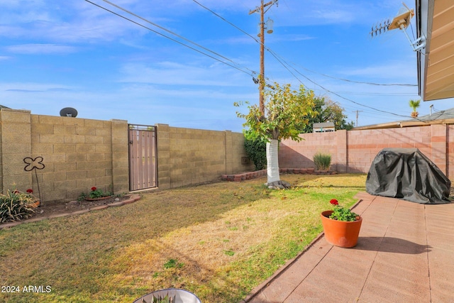 view of yard featuring a patio area